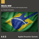 Brazil Now Strum GS-2 Sound Bank 製品画像