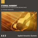 Eternal Harmony Strum GS-2 Sound Bank 製品画像