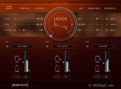 Mosaic Leads 製品画像