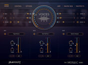 Mosaic Voices 製品画像