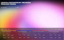 LCO Producer Strings 製品画像