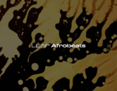 Leap Expansion - Afrobeats 製品画像