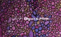 Leap Expansion - Disco and Funk 製品画像
