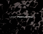 Leap Expansion - Platinum Pop 製品画像