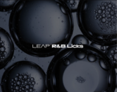 Leap Expansion - RnB Licks 製品画像