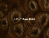 Leap Expansion - Soul Gold 製品画像