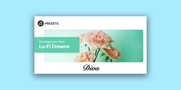 Diva Expansion Pack: Lo-Fi Dreams 製品画像