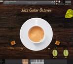 Jazz Guitar Octaves 製品画像