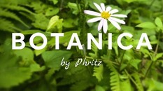 Botanica (CUBE Expansion) 製品画像