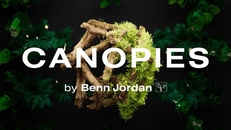 Canopies (CUBE Expansion) 製品画像