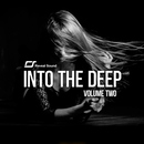 Into The Deep Vol.2 製品画像