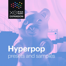 XO Expansion: Hyperpop 製品画像