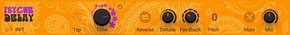Psyche Delay 製品画像